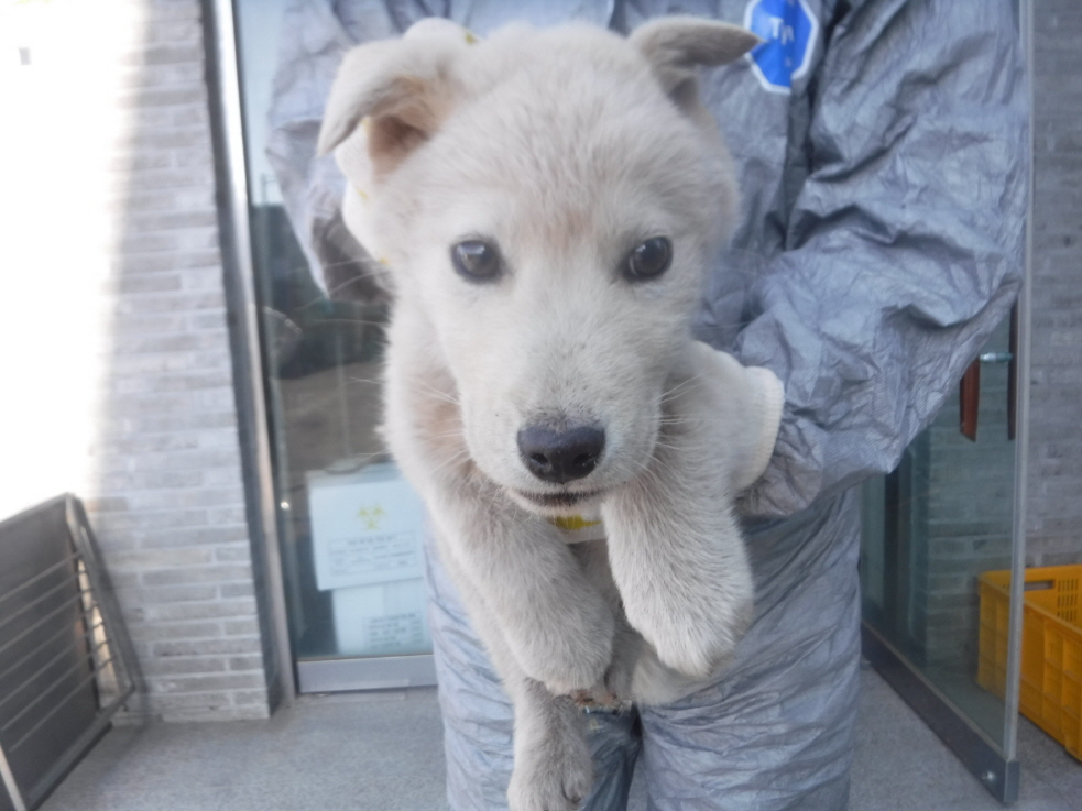 제주 동물보호센터_450650202300981